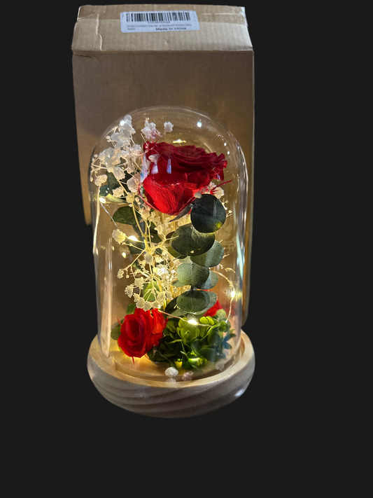Retail $30 Light Glass Dome Rose