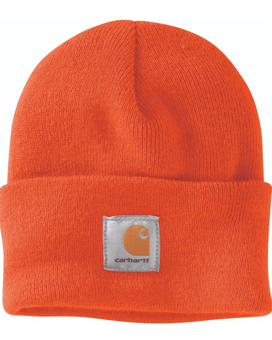 Retail $20 Orange Carhartt Beanie