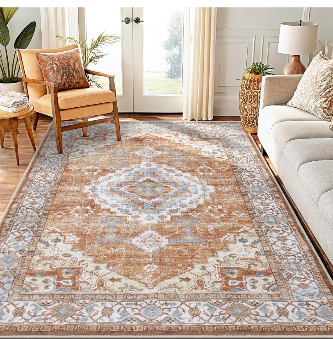 Smiry Area Rug Retail $50