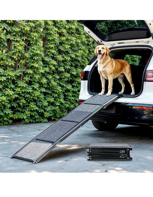 Retail $100 PET RAMP