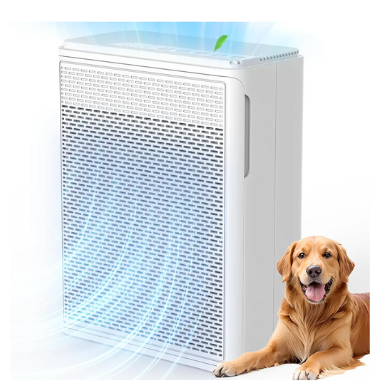 Air Purifier Retail $60