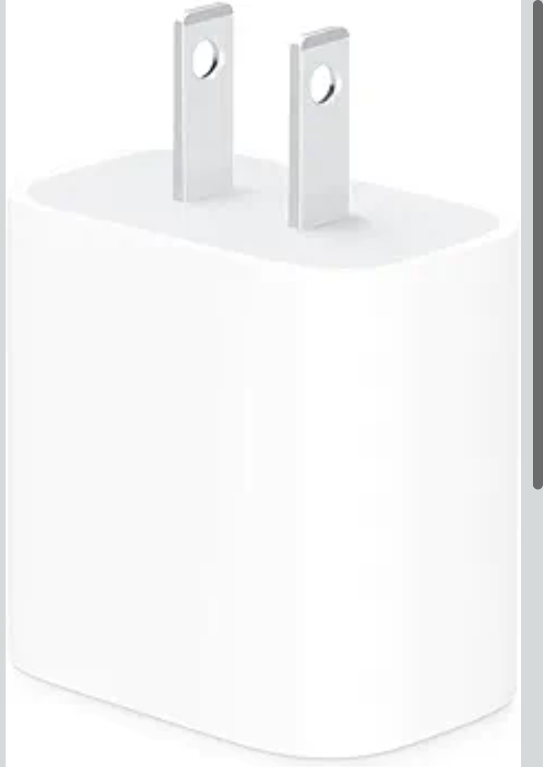 Apple FAST Charger Retail $20