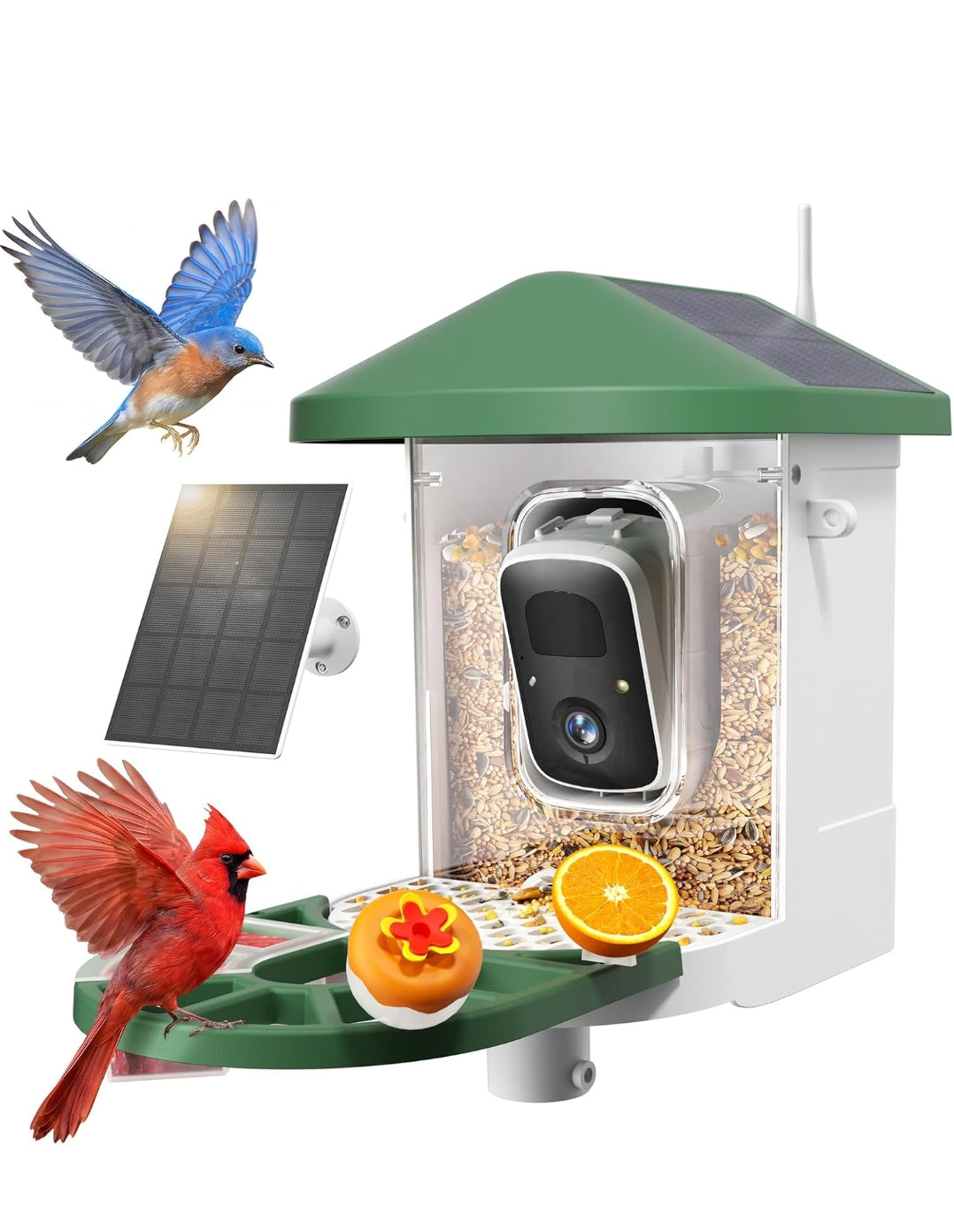 Smart Bird Feeder Retail $90