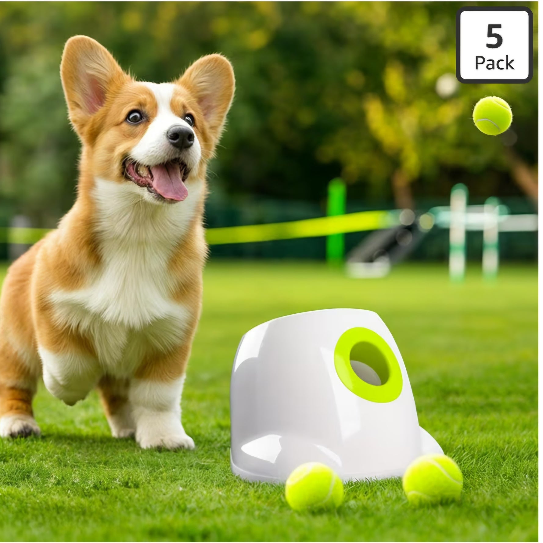 Retail $76 Mini Ball Launcher for Dogs