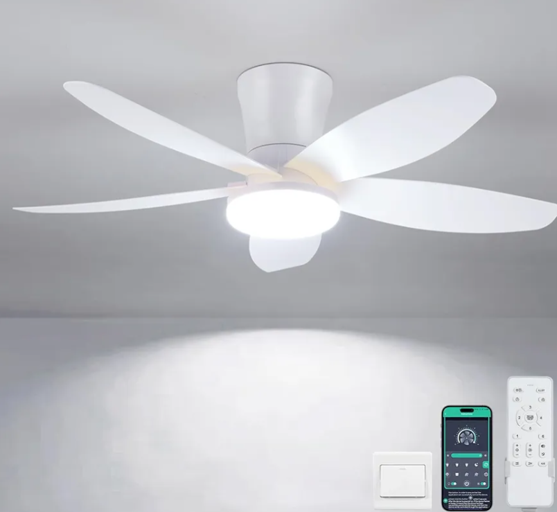 Ceiling Fan/Lights Retail $50