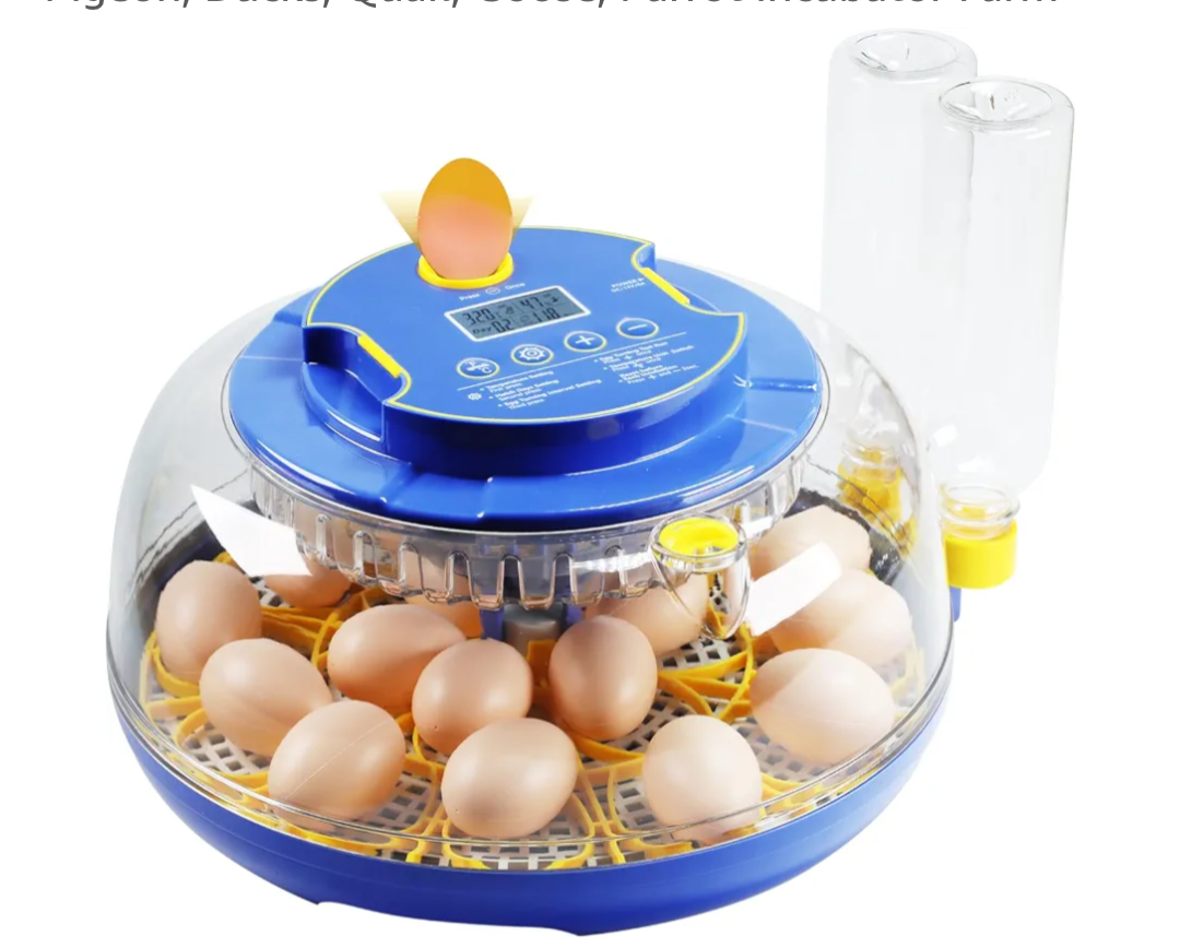 Incubator Retail $56