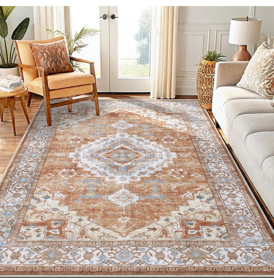Smiry Area Rug Retail $50