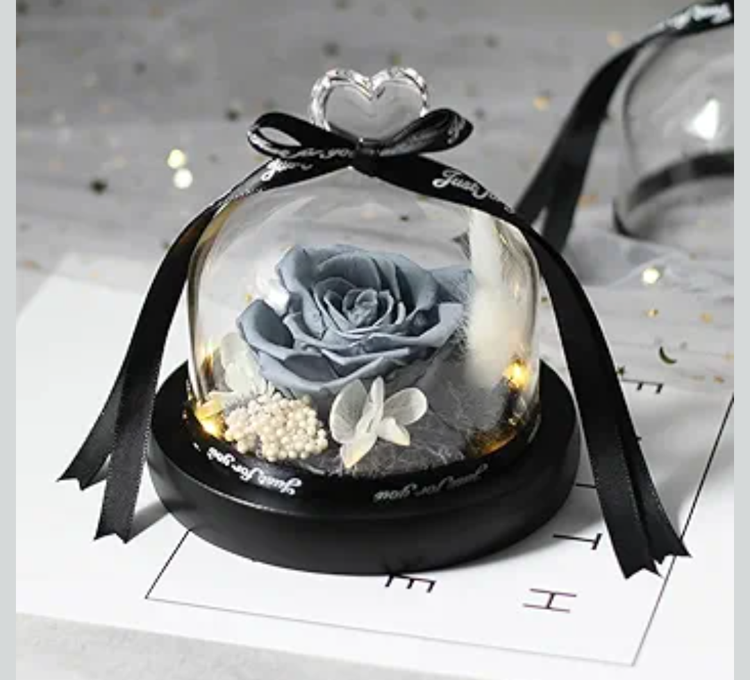 Rose In A Glass Dome Gift